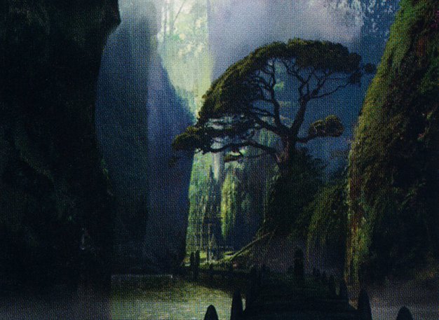 Jungle Hollow