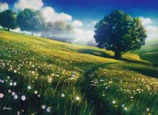 Plains