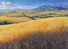 Plains