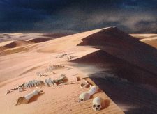 Scoured Barrens