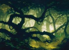 Swamp