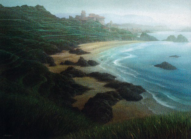 Tranquil Cove