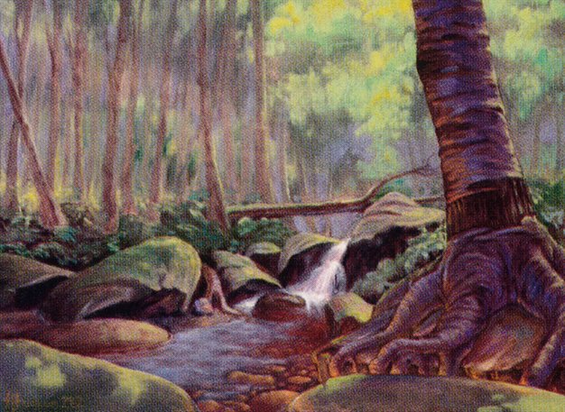 Tranquil Thicket