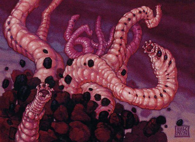Worm Harvest