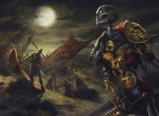 Champion of Stray Souls