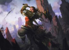 Den Protector