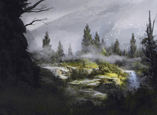 Forest