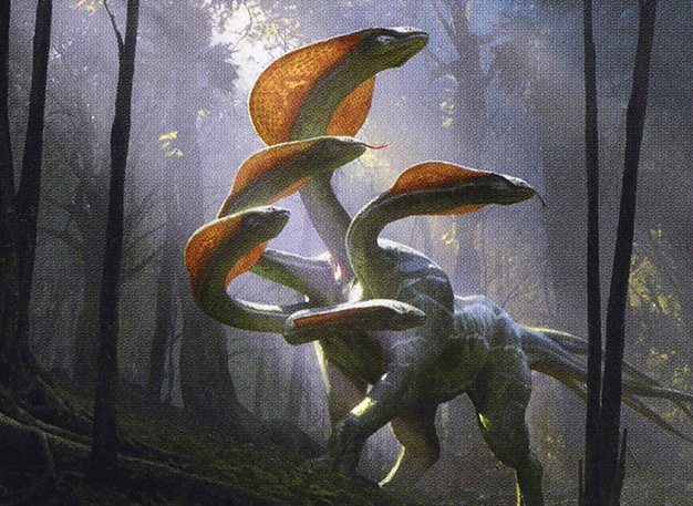 Hooded Hydra