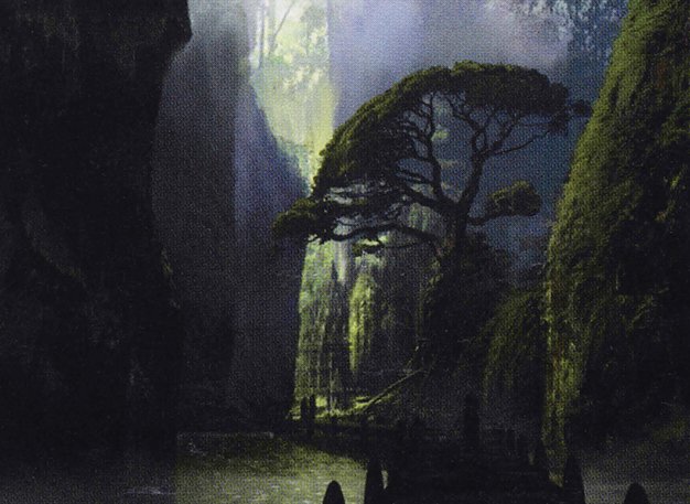 Jungle Hollow