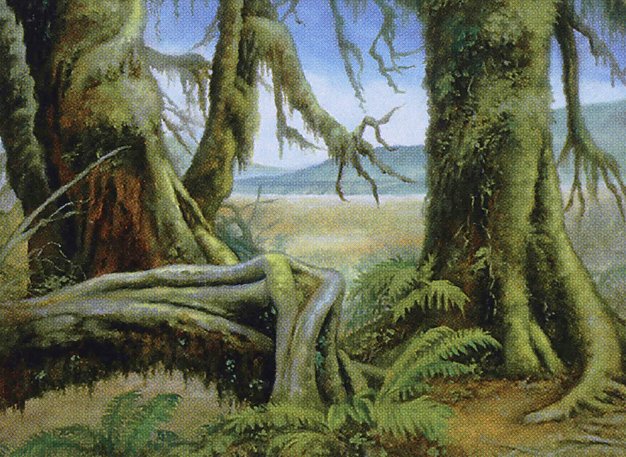 Krosan Verge