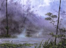 Llanowar Wastes