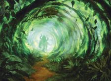 Road of Return