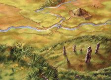 Sungrass Prairie