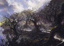 Swamp