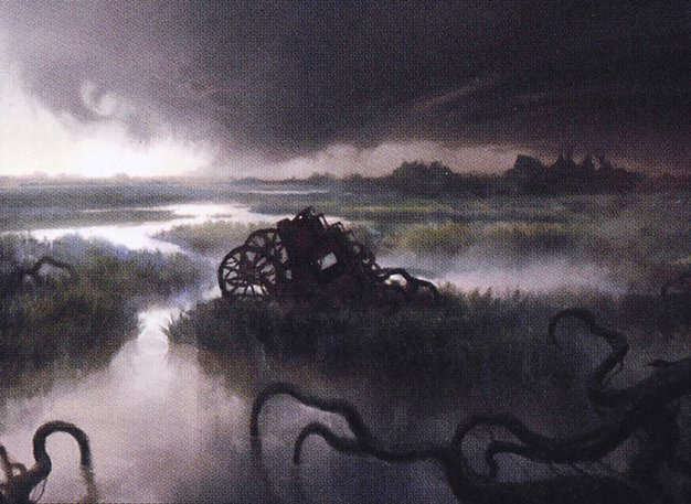 Swamp