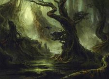 Swamp