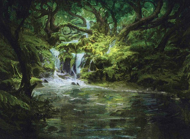 Woodland Stream