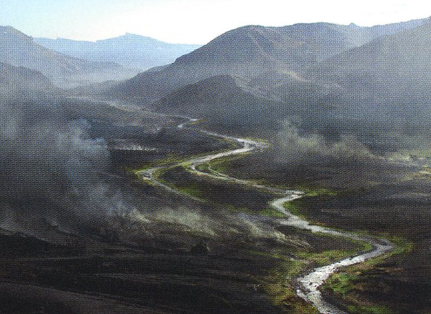 Ash Barrens