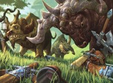 Curious Herd