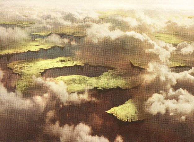 Drifting Meadow