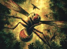 Hornet Queen