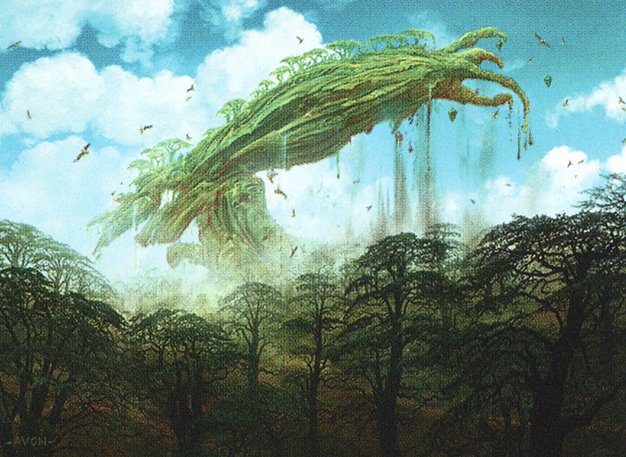 Kodama’s Reach