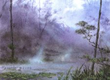 Llanowar Wastes