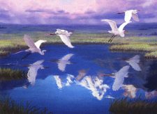 Migratory Route
