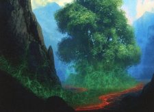 Myriad Landscape