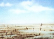 Skycloud Expanse
