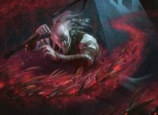 Feed the Swarm