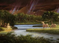 Gift of Paradise