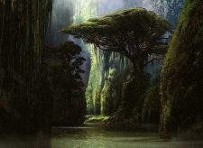 Jungle Hollow
