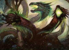 Managorger Hydra