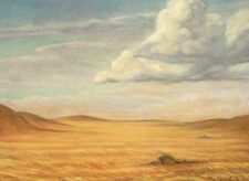 Secluded Steppe