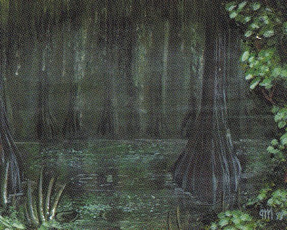 Bayou