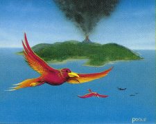 Birds of Paradise
