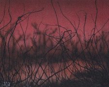 Cursed Land