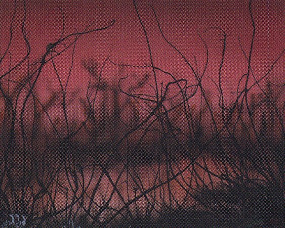 Cursed Land