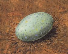 Dingus Egg