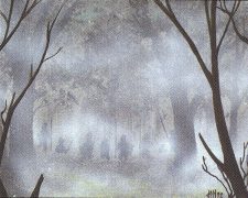Fog