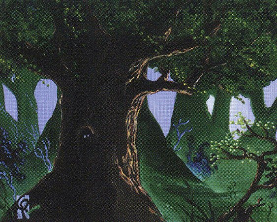 Forest