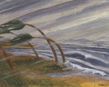 Hurricane