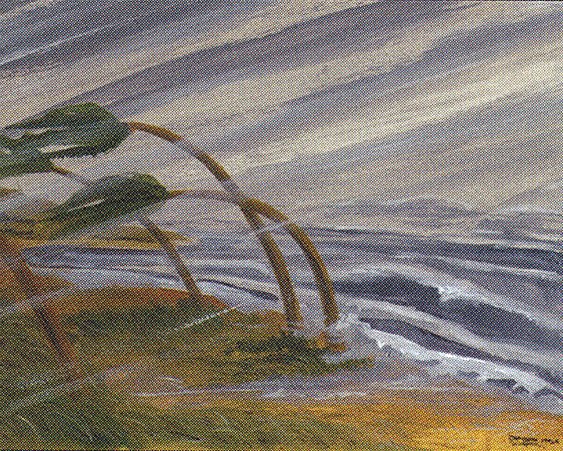 Hurricane