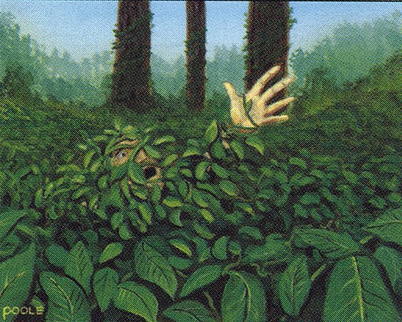 Kudzu
