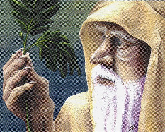 Ley Druid