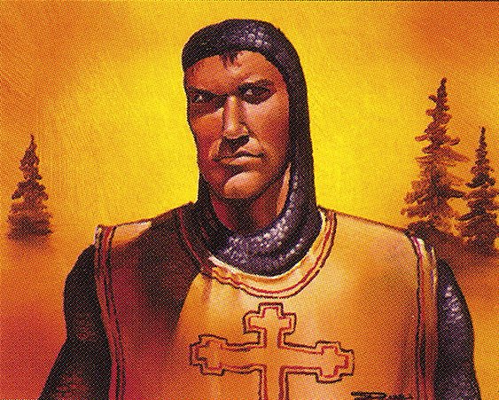 Northern Paladin