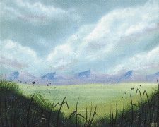 Plains
