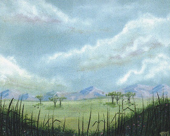 Plains