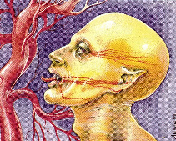 Sengir Vampire
